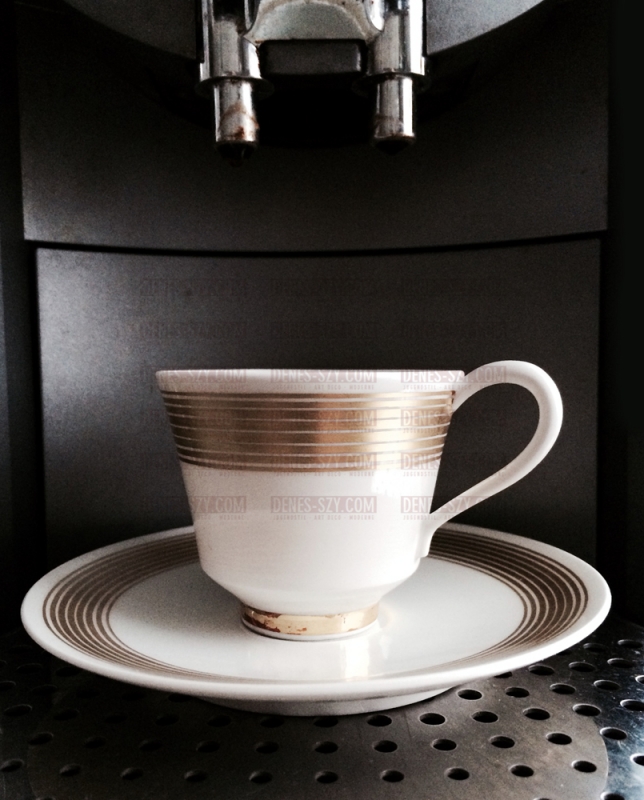 KPM Royal Berlin China Design Friedlaender Halle pattern mocha cup