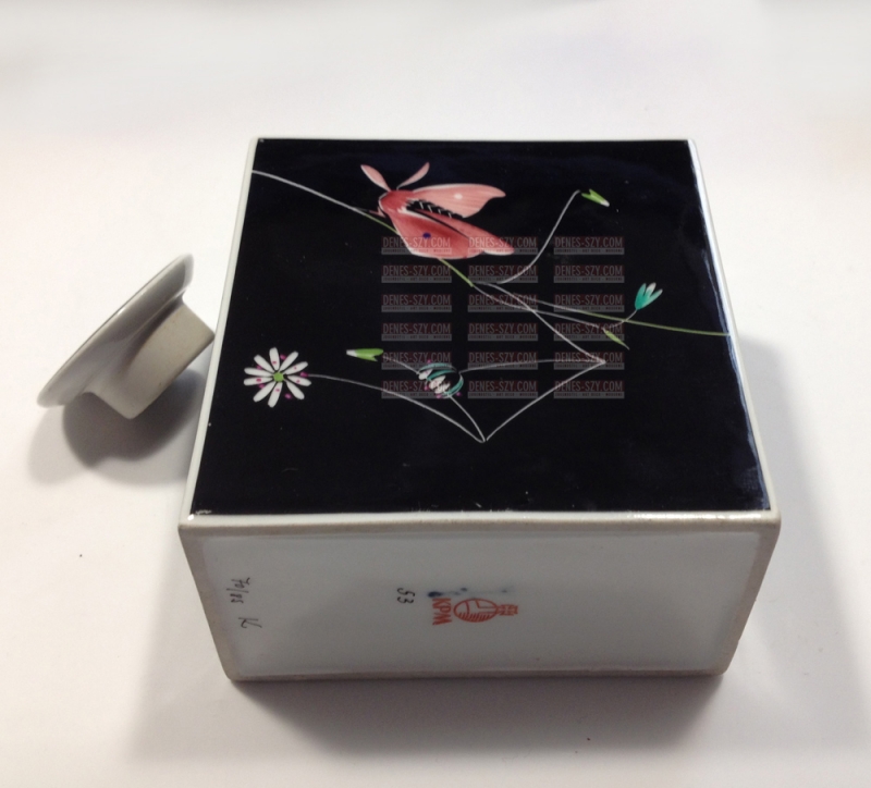 KPM Berlin porcelain Urbino tea caddy, box moth Möckel