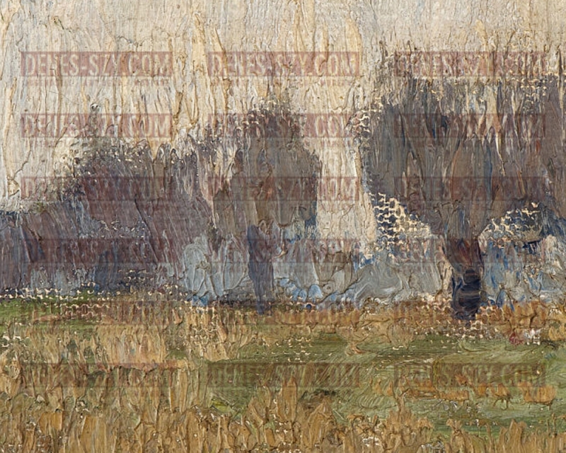 Walter OPHEY, Un jour en Janvier 1908